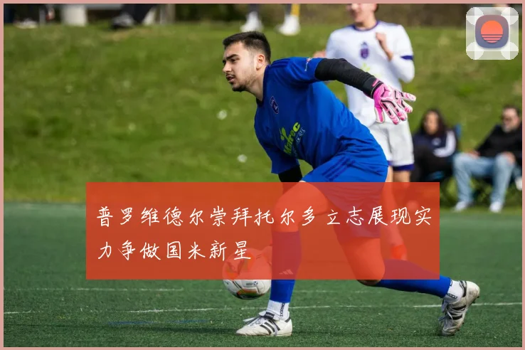 普罗维德尔崇拜托尔多立志展现实力争做国米新星